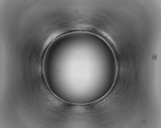 X0000090471362200707201346