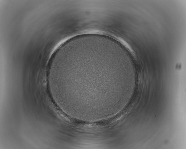 X0000090471364200707201346