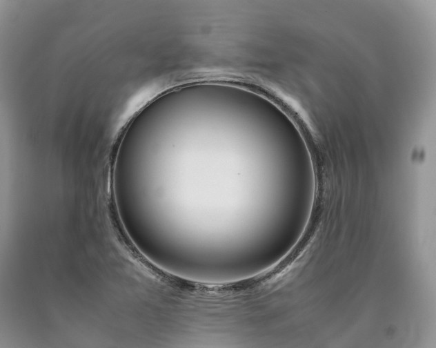 X0000090471365200707201346