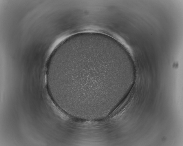 X0000090471368200707201346