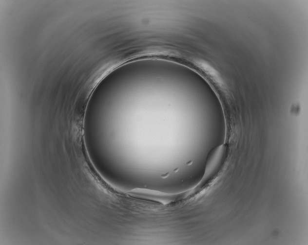 X0000090471369200707201346