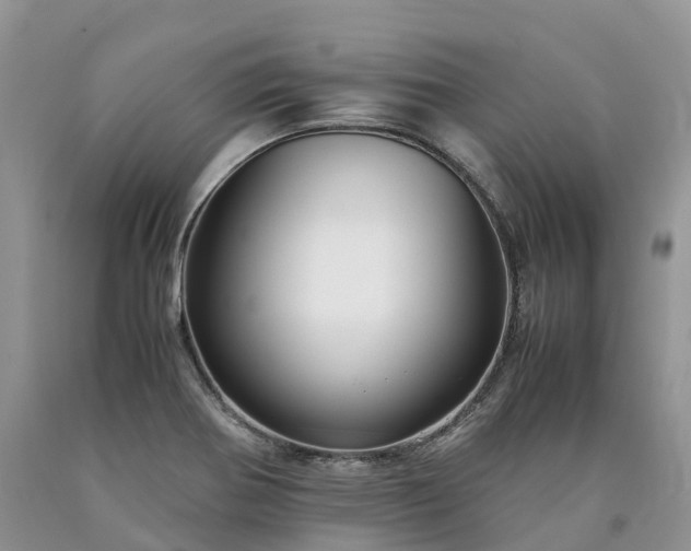 X0000090471370200707201346