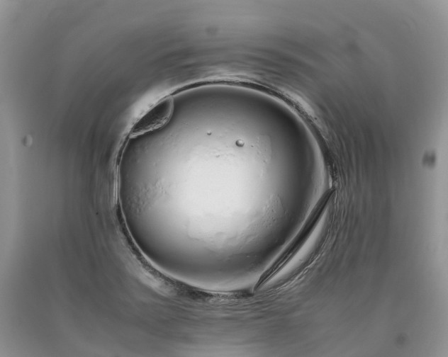 X0000090471371200707201346