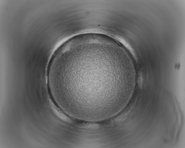 X0000090471372200707201346