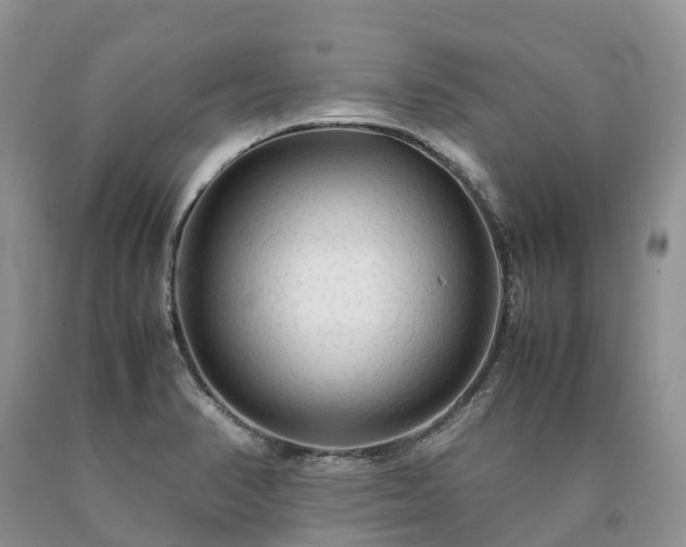 X0000090471374200707201346