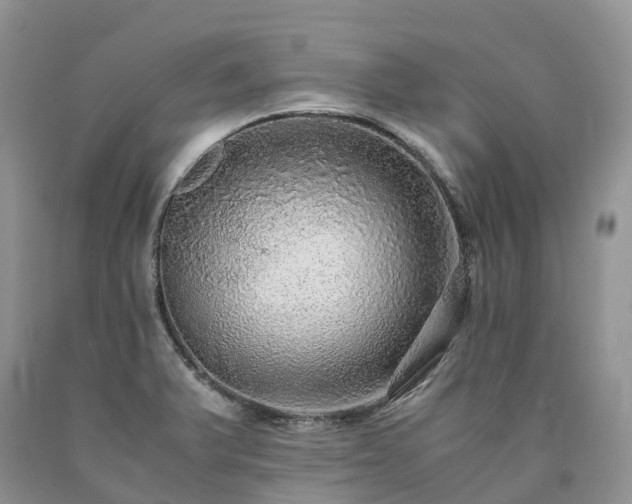 X0000090471375200707201346