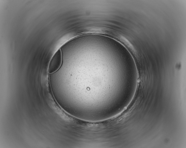 X0000090471378200707201346