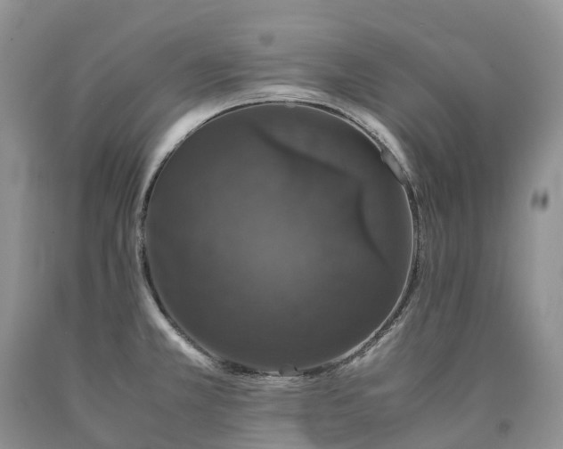X0000090471381200707201346