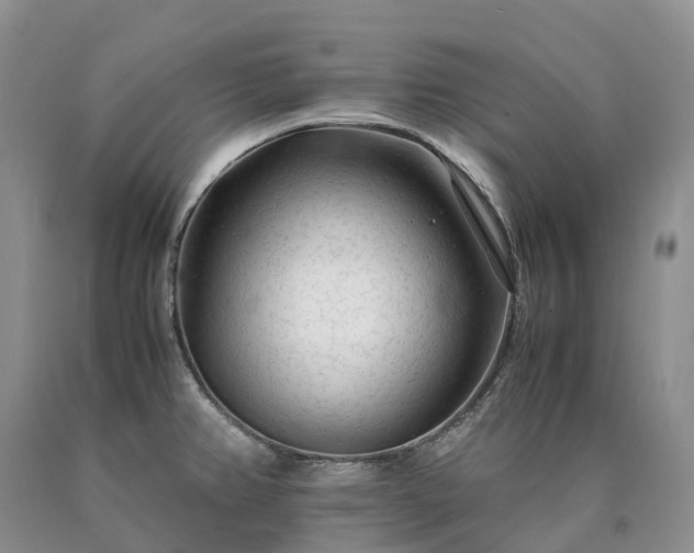 X0000090471382200707201346