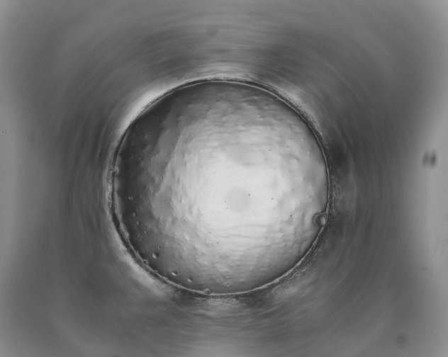 X0000090471383200707201346