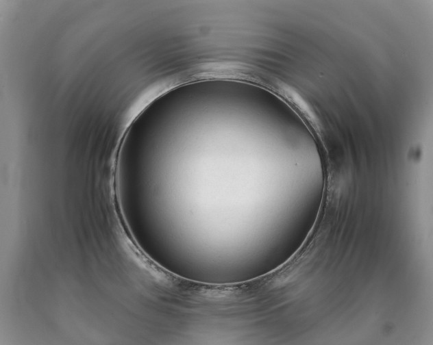 X0000090471386200707201346
