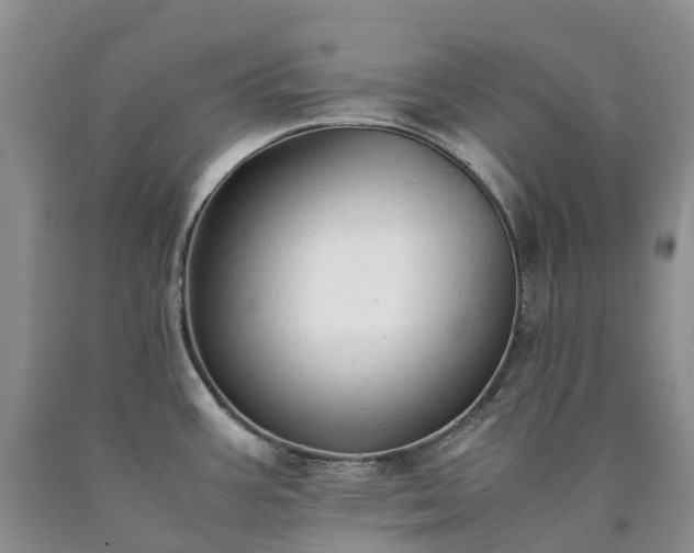 X0000090471387200707201346