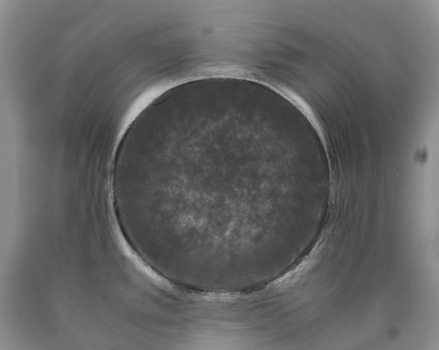 X0000090471389200707201346