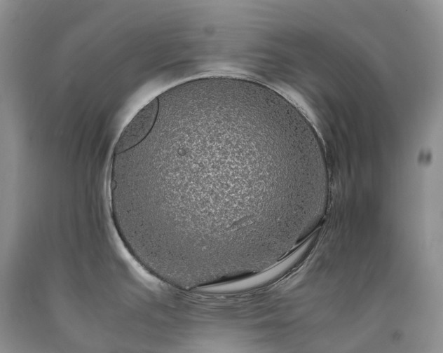 X0000090471391200707201345