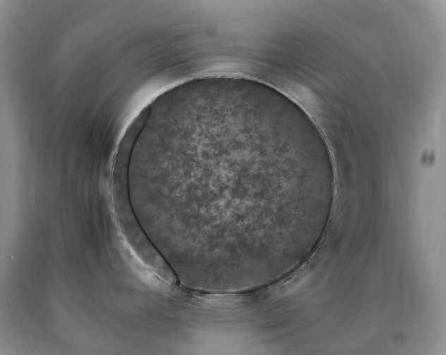 X0000090471392200707201345