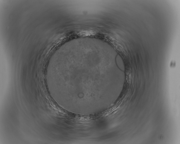 X0000090471393200707201345