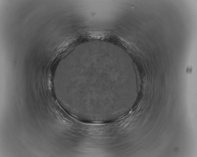 X0000090471394200707201345