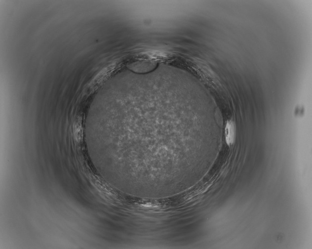 X0000090471395200707201345