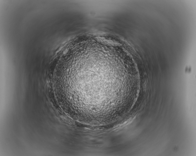X0000090471397200707201345