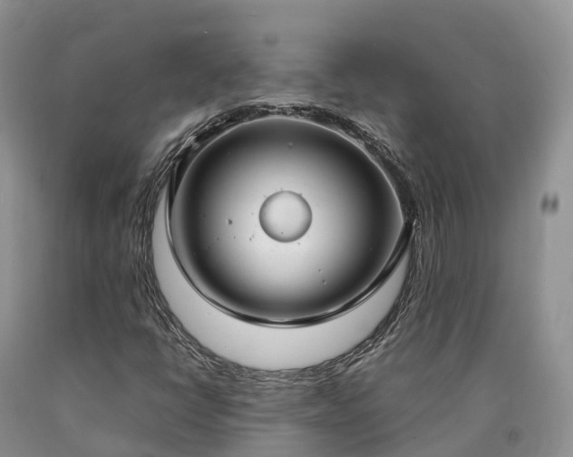X0000090471398200707201345