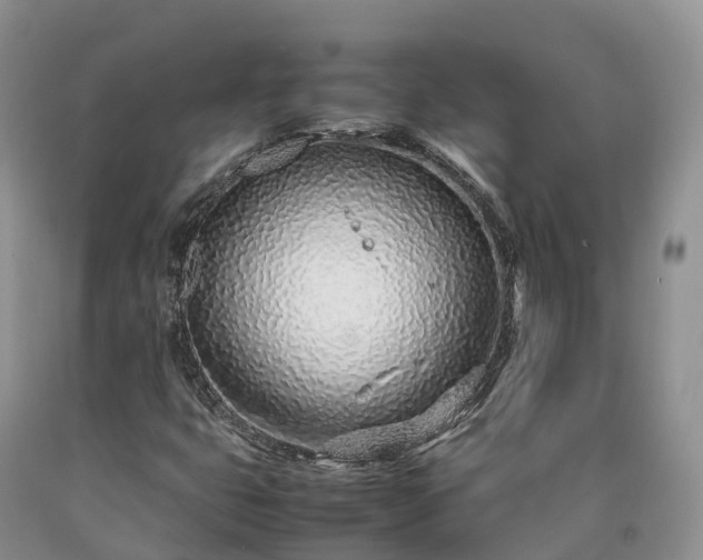 X0000090471399200707201345