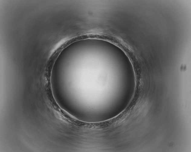 X0000090471400200707201345
