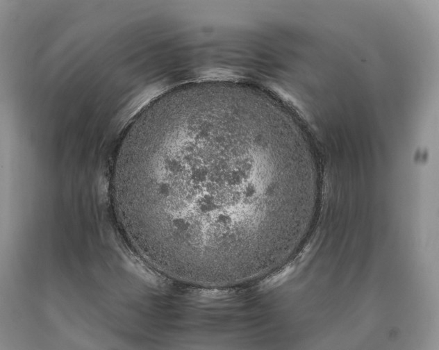 X0000090471401200707201345