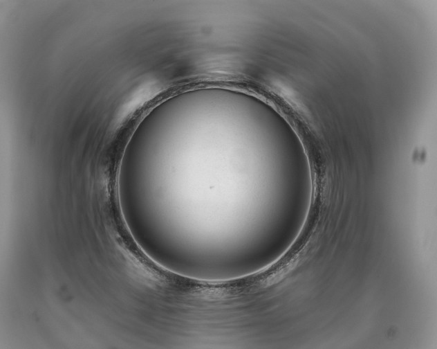 X0000090471402200707201345