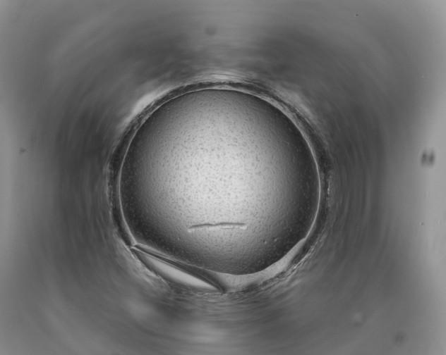 X0000090471404200707201345