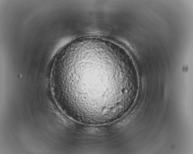 X0000090471405200707201345