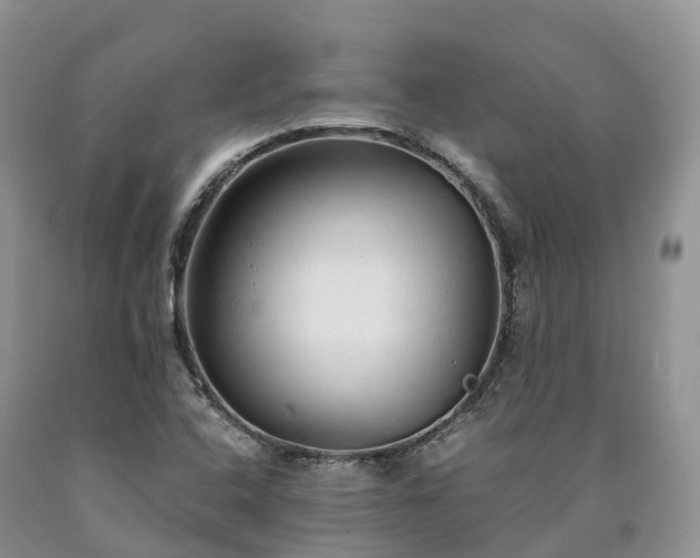 X0000090471408200707201345