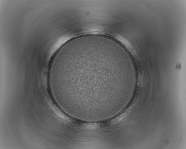 X0000090471410200707201345