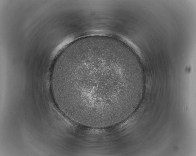 X0000090471411200707201345