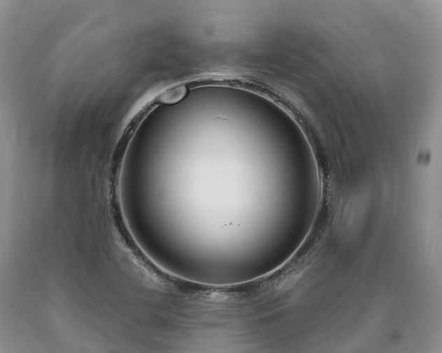 X0000090471412200707201345