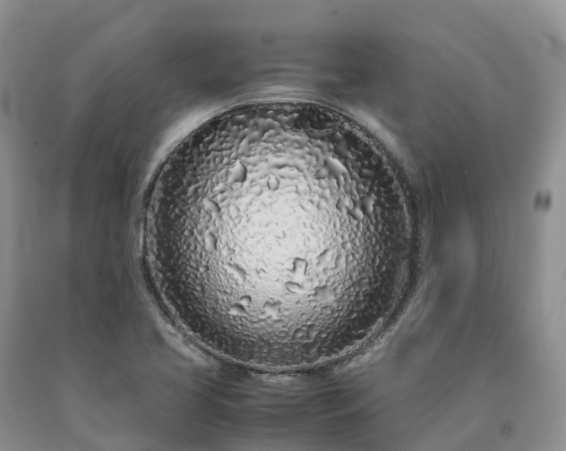 X0000090471413200707201345