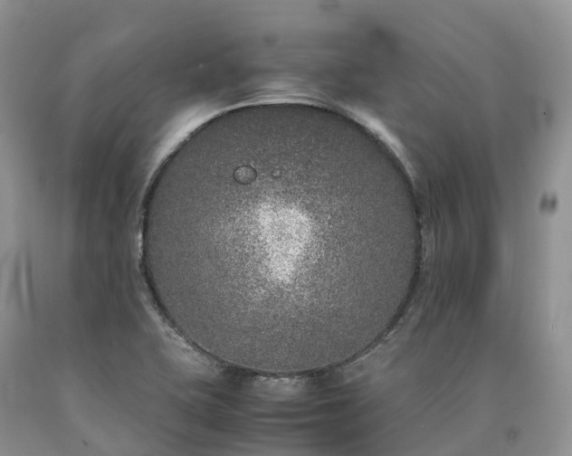 X0000090471415200707201345