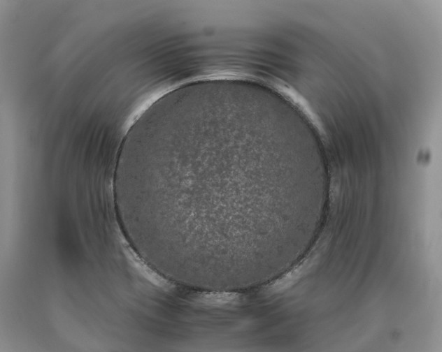 X0000090471417200707201345