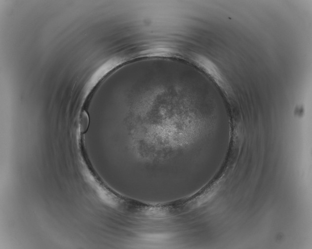 X0000090471418200707201345