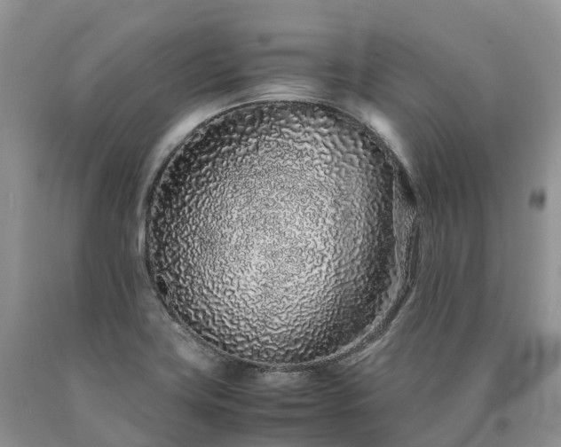 X0000090471419200707201345