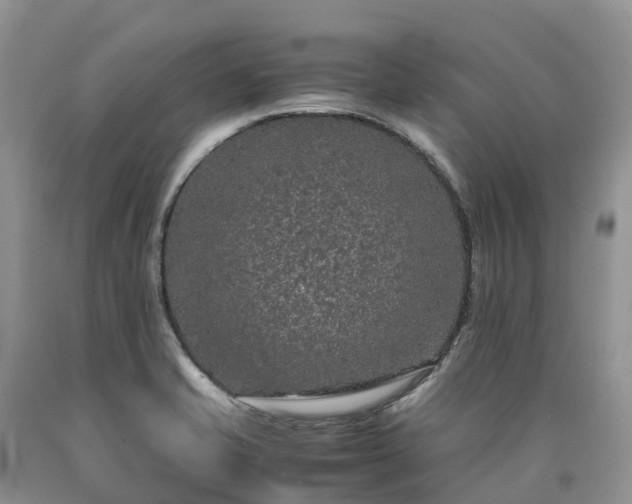 X0000090471421200707201345