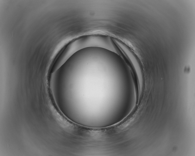 X0000090471422200707201345