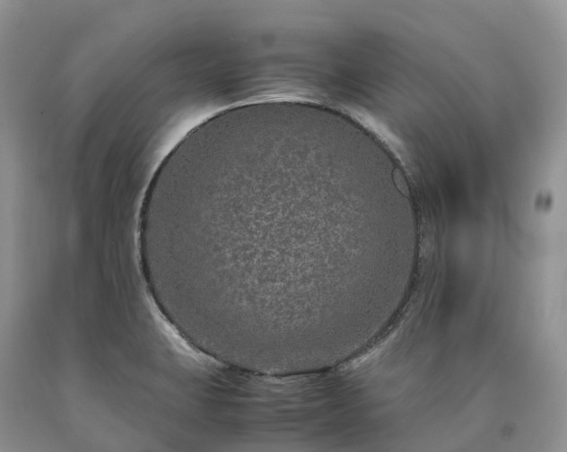 X0000090471423200707201345