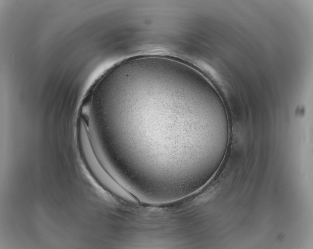 X0000090471424200707201345