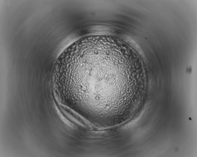 X0000090471425200707201345