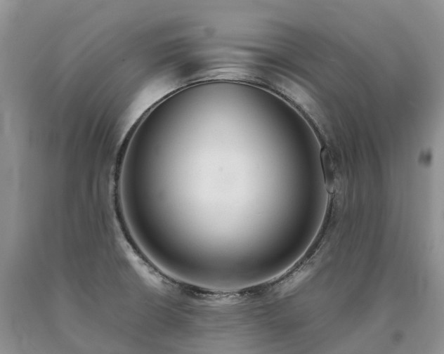 X0000090471426200707201345