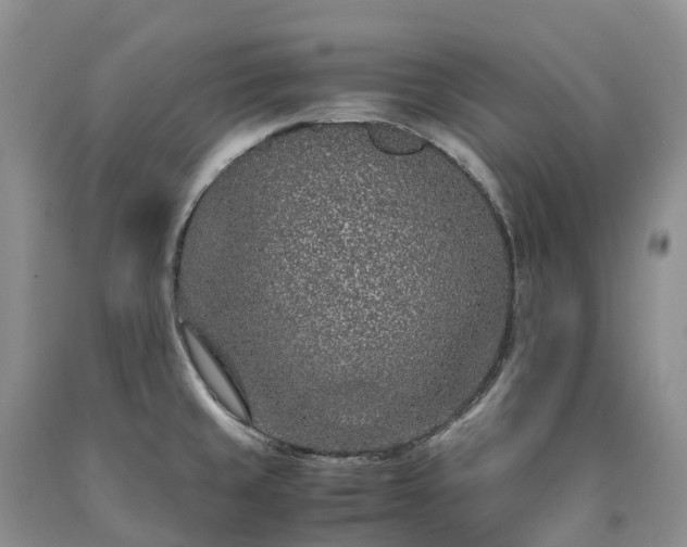 X0000090471429200707201345