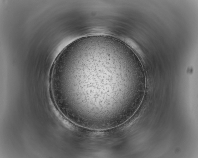 X0000090471431200707201345