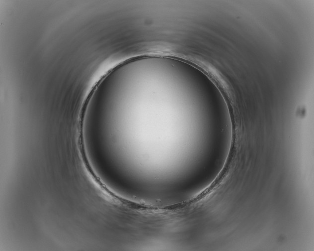 X0000090471432200707201345