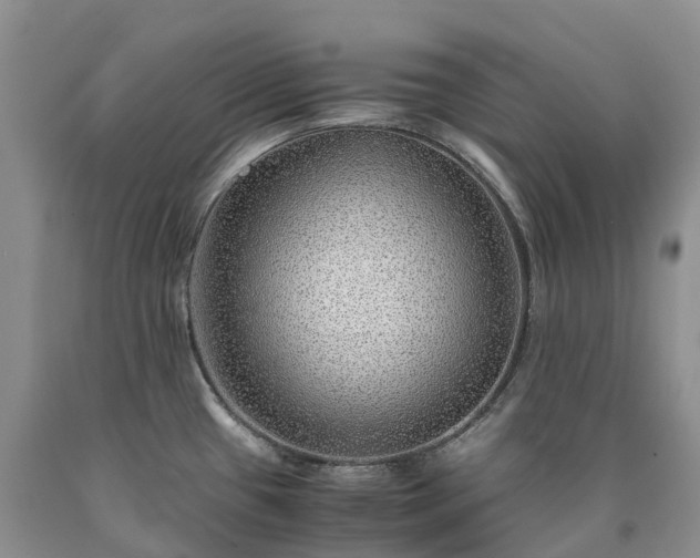 X0000090471433200707201345