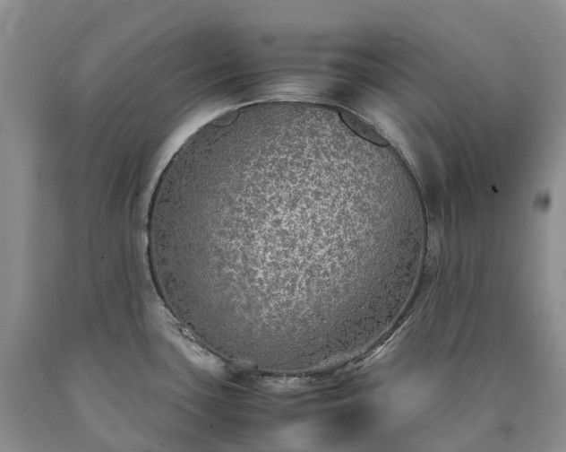 X0000090471435200707201345